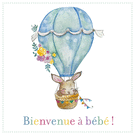 Montgolfi&egrave;re tricolore pour accueillir b&eacute;b&eacute;